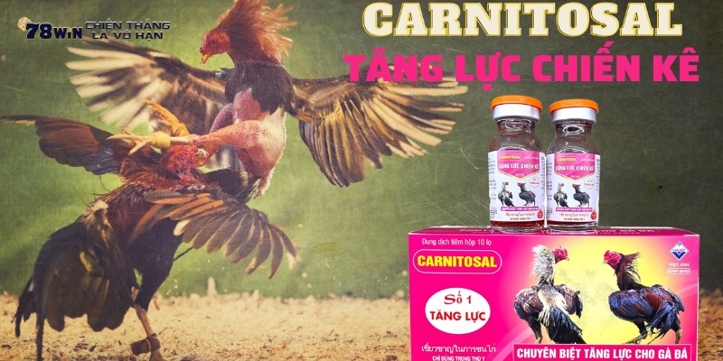 Thuốc tăng lực Carnitosal -  “Doping” trong thế giới gà chọi.